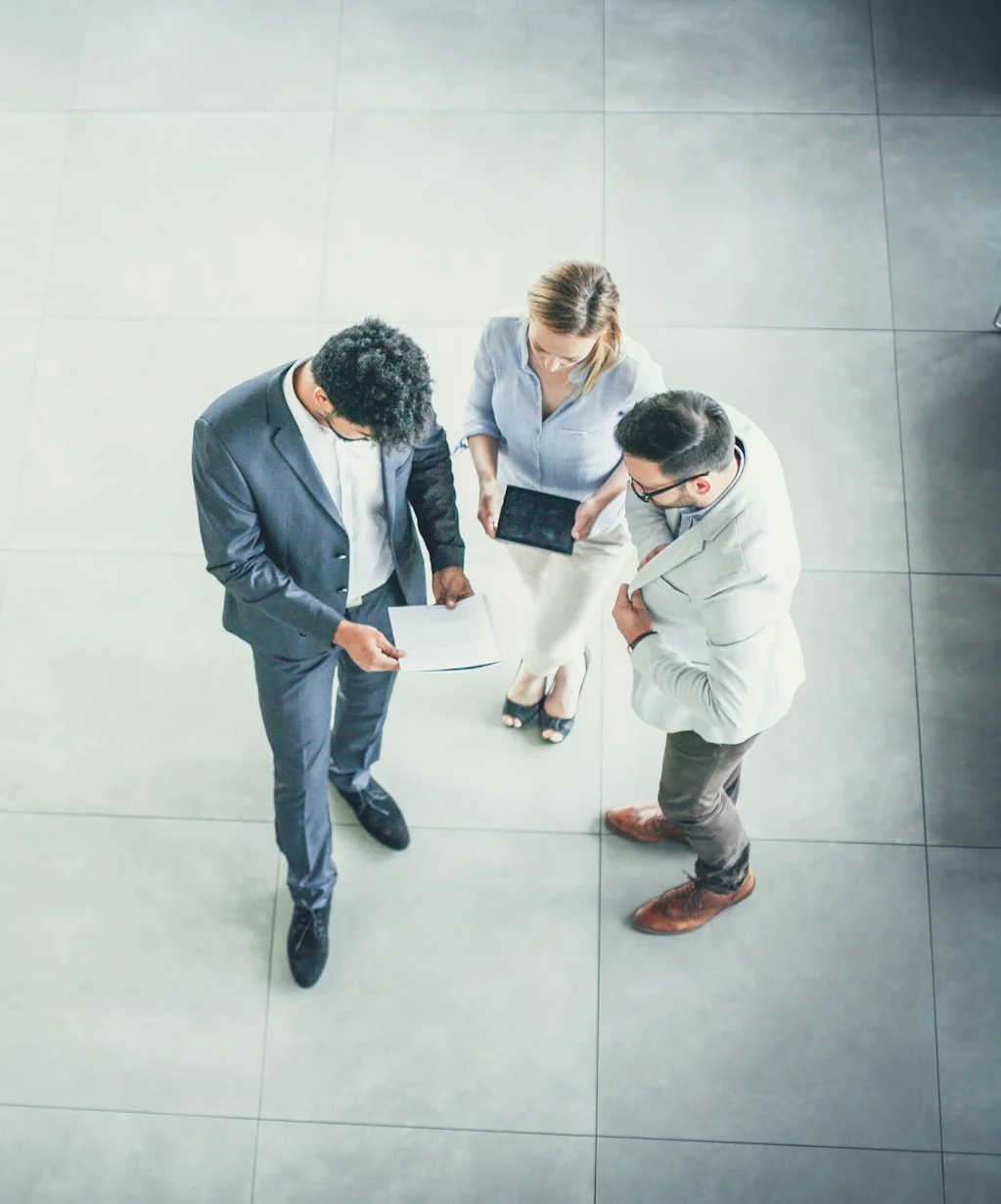 Case study - the task - proffinco